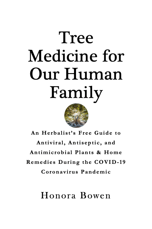Tree Medicine for Our Human Family; An Herbalist's Free Guide to Antiviral, Antiseptic, and Antimicrobial Plants &amp; Home Remedies During the COVID-19 Coronavirus Pandemic, by Honora Bowen